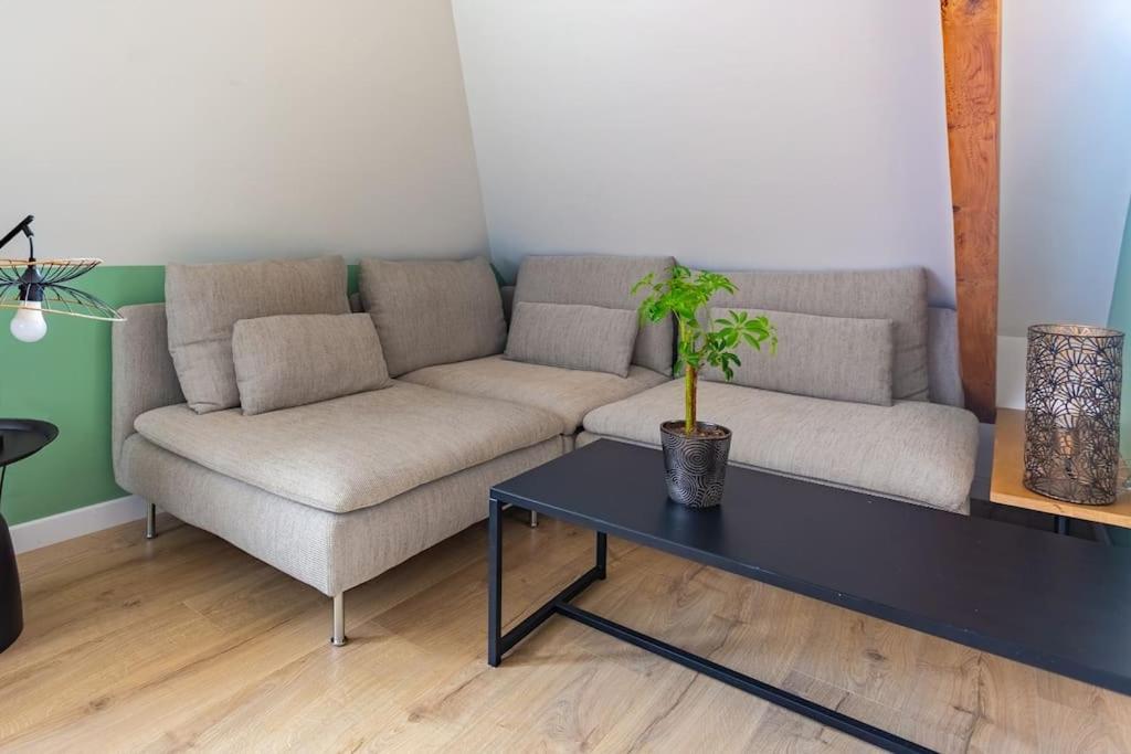 Appartement Le Charme De L'ancien Allie Au Contemporain *