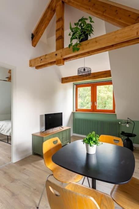 Le Charme De L'ancien Allie Au Contemporain Appartement *